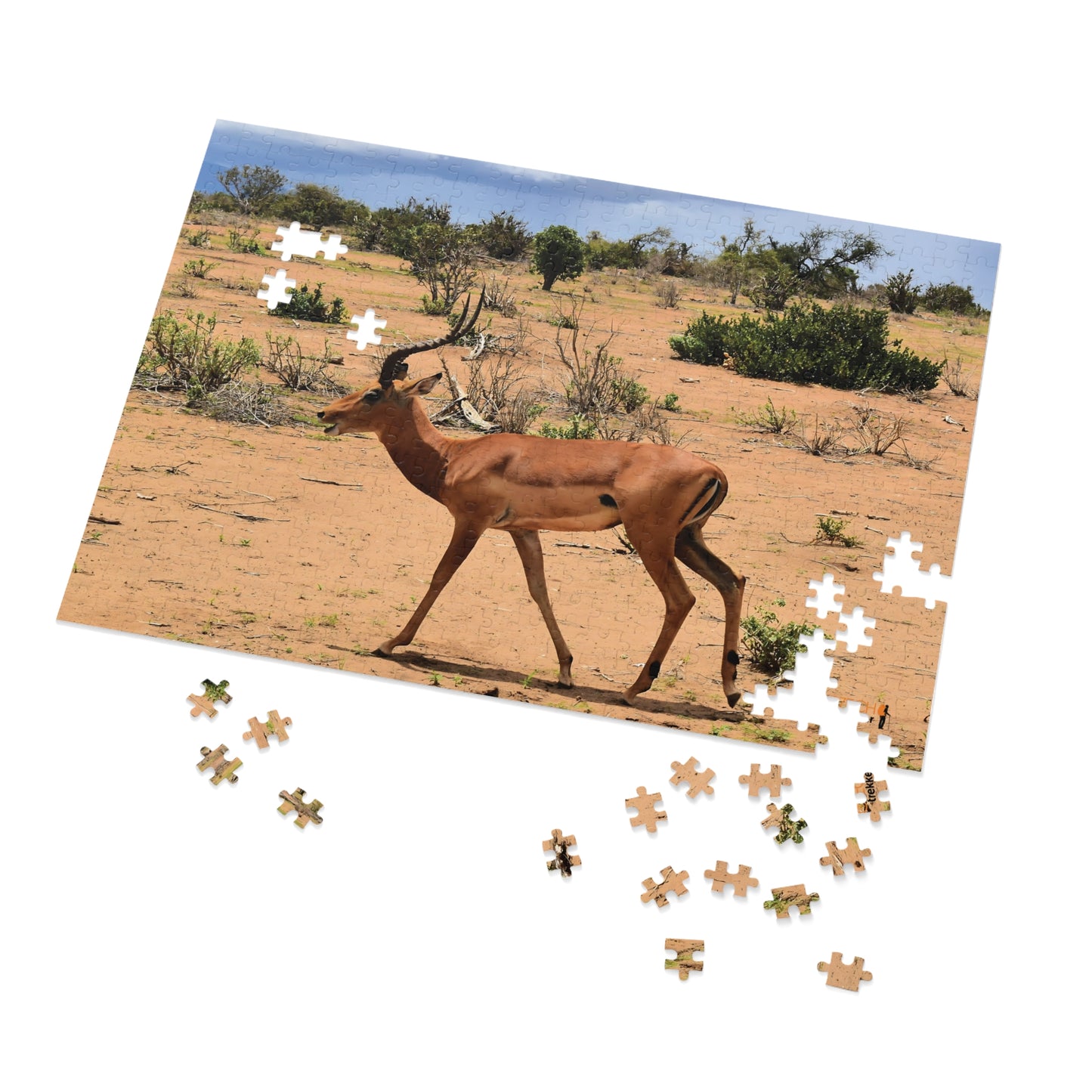 Jigsaw Puzzle & Tin: Original Photo, Tsavo East, Kenya (2023), Vibrant Glossy Puzzle, Nature Lover's Gift, 30 to 1,000 Pcs