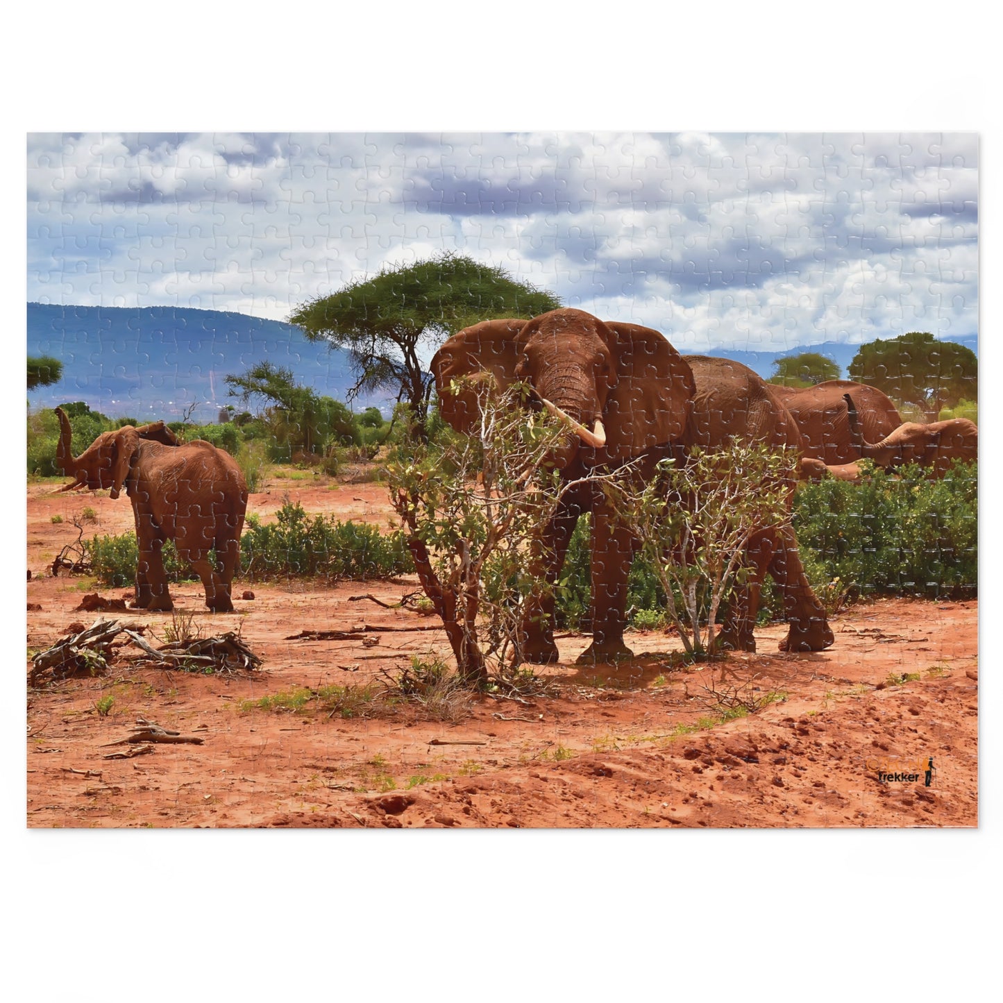 Jigsaw Puzzle & Tin: Original Photo, Tsavo East, Kenya (2023), Vibrant Glossy Puzzle, Nature Lover's Gift, 30 to 1,000 Pcs