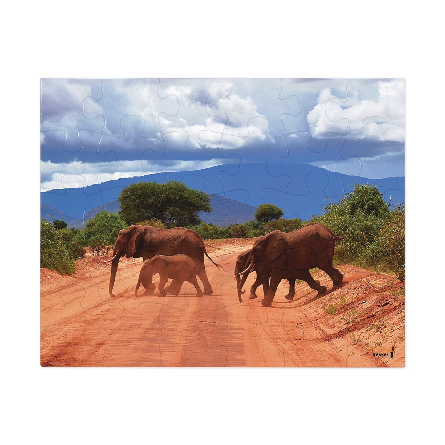 Jigsaw Puzzle & Tin: Original Photo, Tsavo East, Kenya (2023), Vibrant Glossy Puzzle, Nature Lover's Gift, 30 to 1,000 Pcs