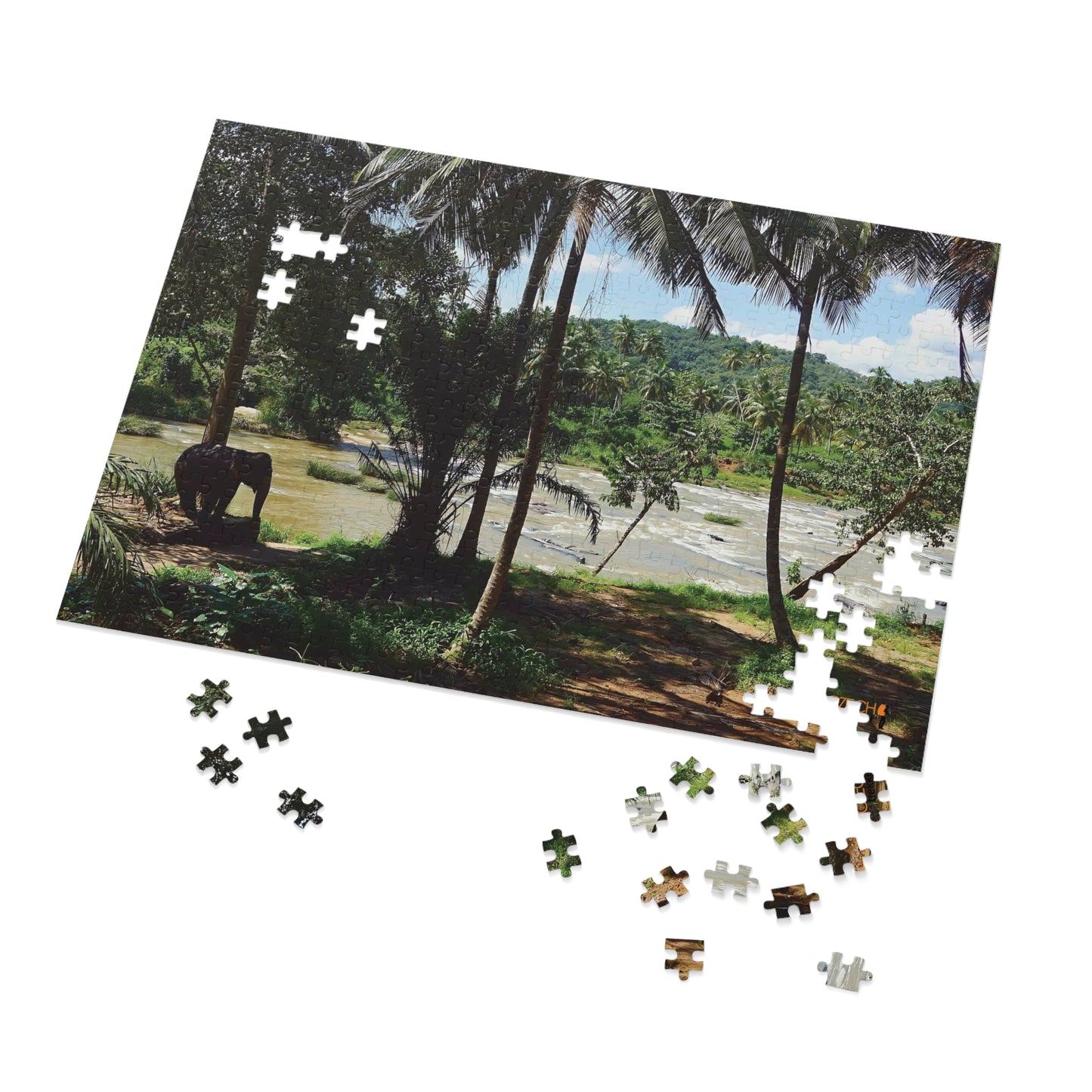 Jigsaw Puzzle & Tin: Original Photo, Pinnawala, Sri Lanka (2015), Vibrant Glossy Puzzle, Nature Lover's Gift, 30 to 500 Pcs