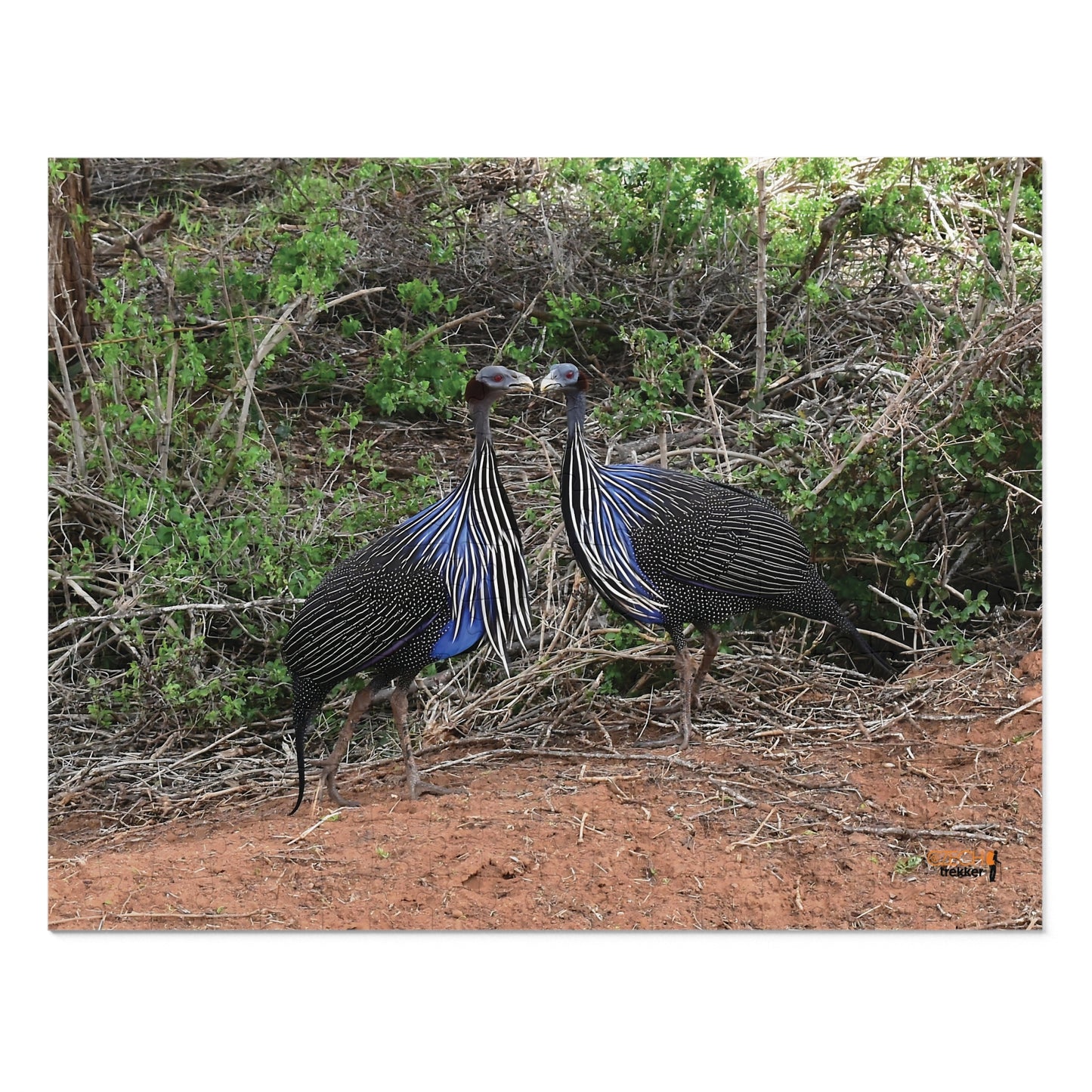 Jigsaw Puzzle & Tin: Original Photo, Tsavo East, Kenya (2023), Vibrant Glossy Puzzle, Nature Lover's Gift, 30 to 1,000 Pcs