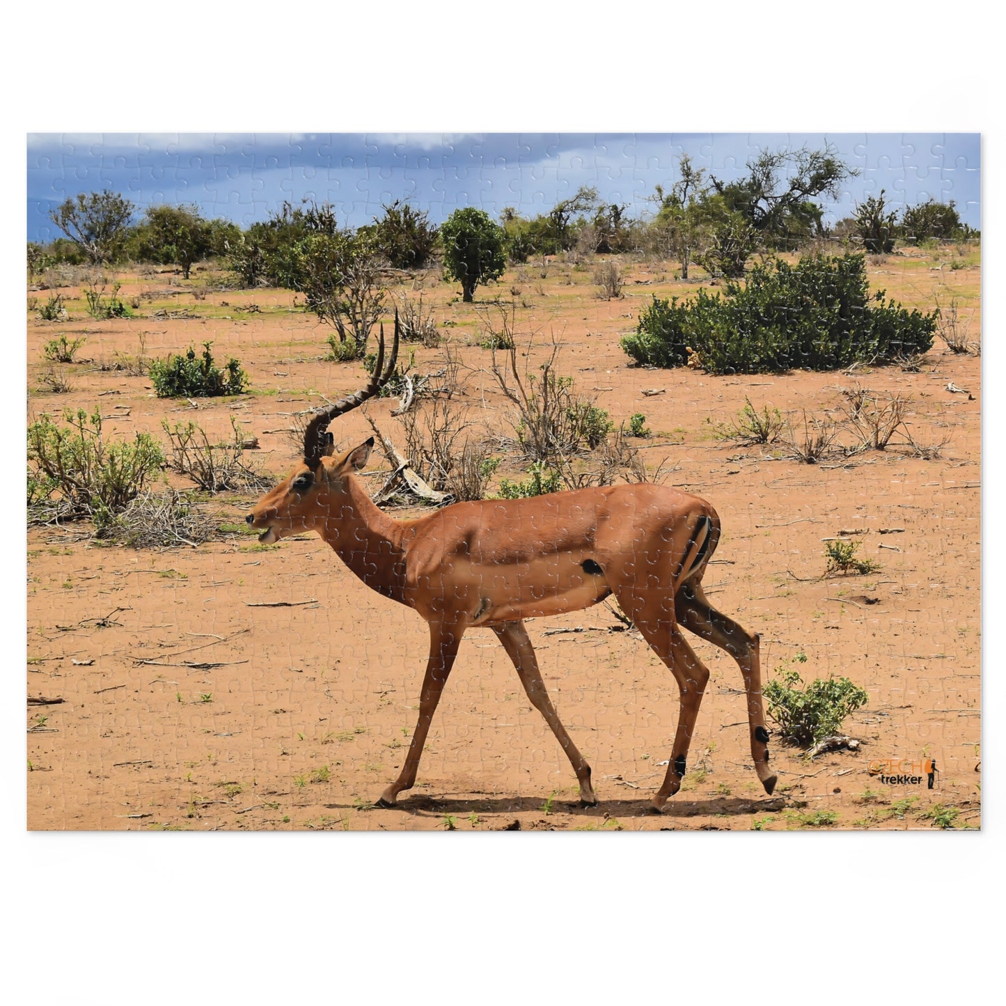 Jigsaw Puzzle & Tin: Original Photo, Tsavo East, Kenya (2023), Vibrant Glossy Puzzle, Nature Lover's Gift, 30 to 1,000 Pcs