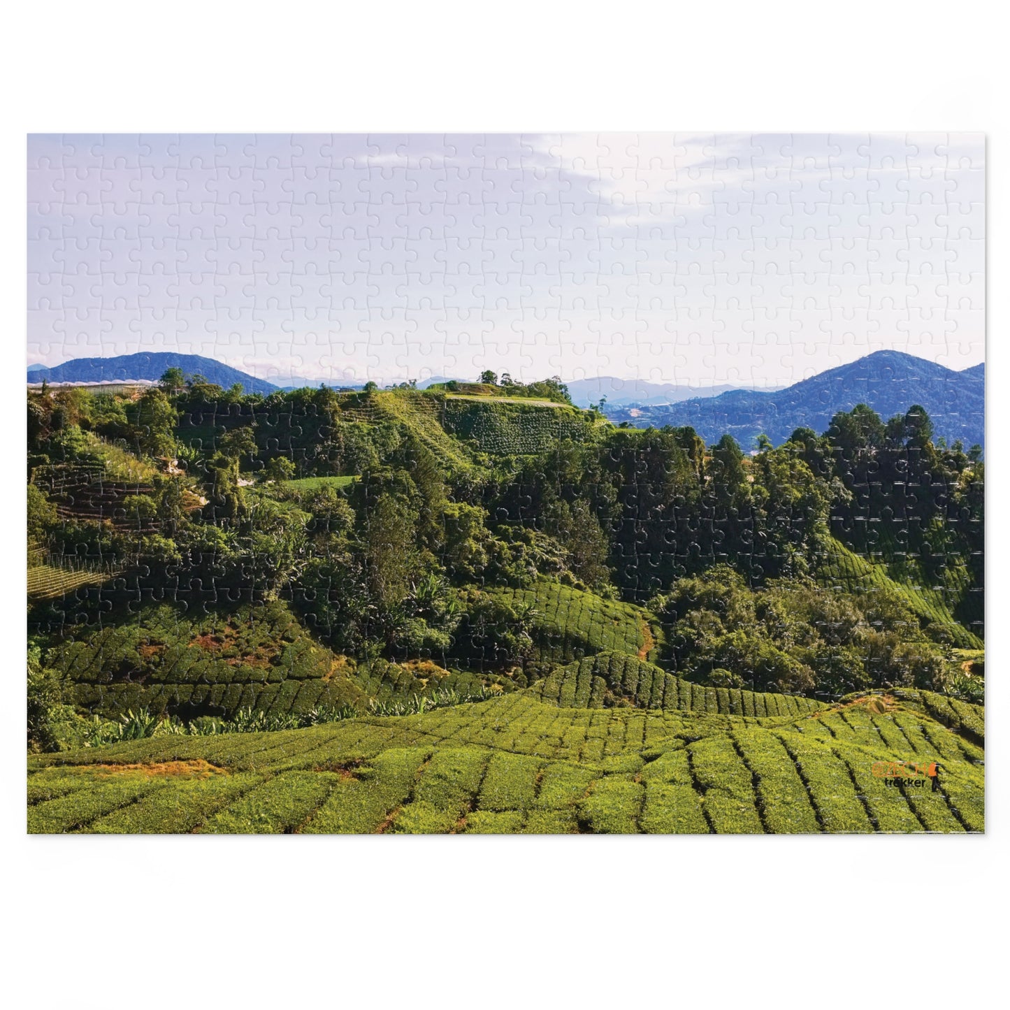 Jigsaw Puzzle & Tin: Original Photo, Cameron Highlands, Malaysia (2014), Vibrant Glossy Puzzle, Nature Lover's Gift, 30 to 500 Pcs