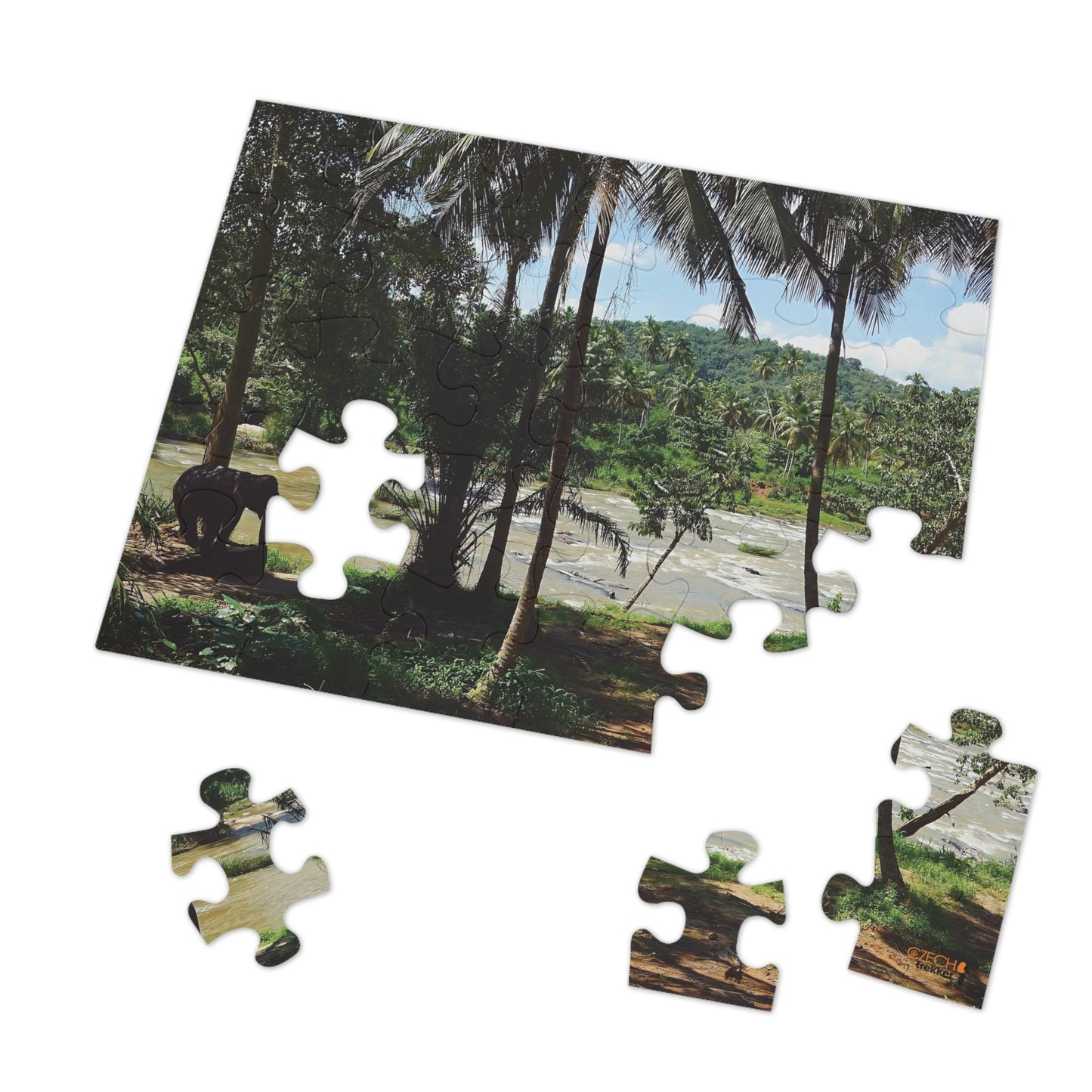 Jigsaw Puzzle & Tin: Original Photo, Pinnawala, Sri Lanka (2015), Vibrant Glossy Puzzle, Nature Lover's Gift, 30 to 500 Pcs