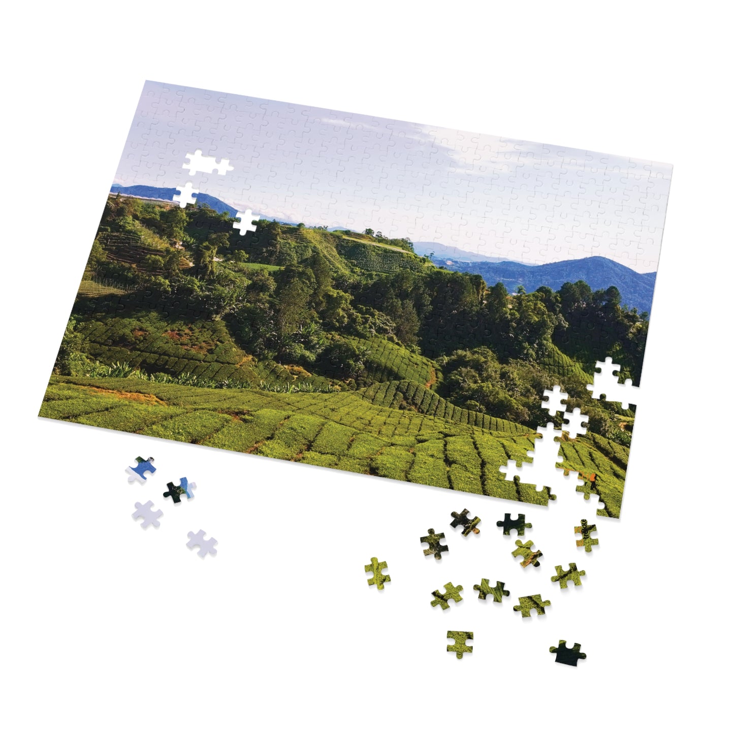 Jigsaw Puzzle & Tin: Original Photo, Cameron Highlands, Malaysia (2014), Vibrant Glossy Puzzle, Nature Lover's Gift, 30 to 500 Pcs