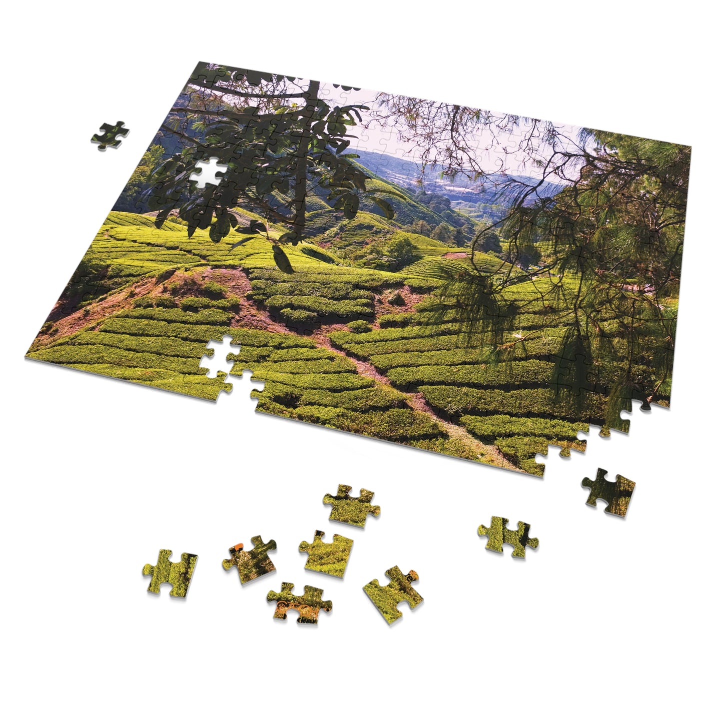 Jigsaw Puzzle & Tin: Original Photo, Cameron Highlands, Malaysia (2014), Vibrant Glossy Puzzle, Nature Lover's Gift, 30 to 500 Pcs