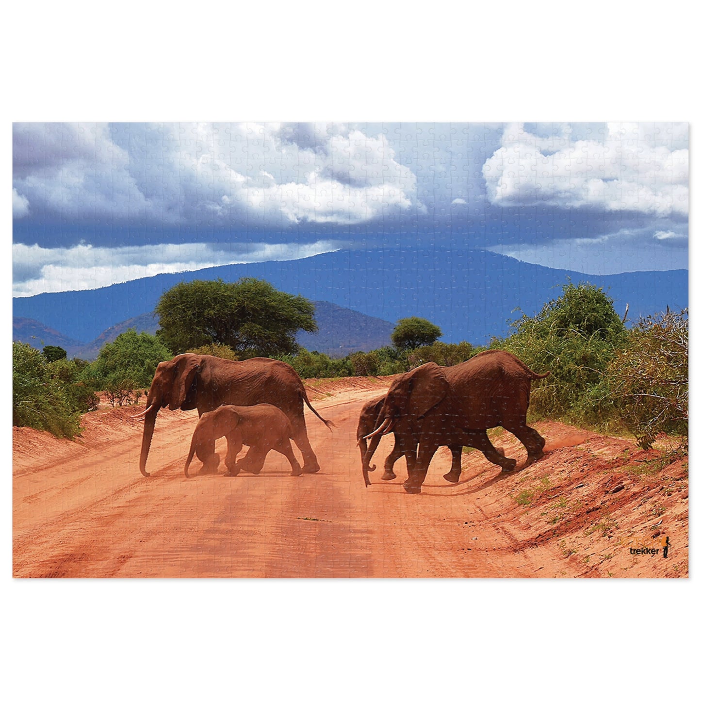 Jigsaw Puzzle & Tin: Original Photo, Tsavo East, Kenya (2023), Vibrant Glossy Puzzle, Nature Lover's Gift, 30 to 1,000 Pcs