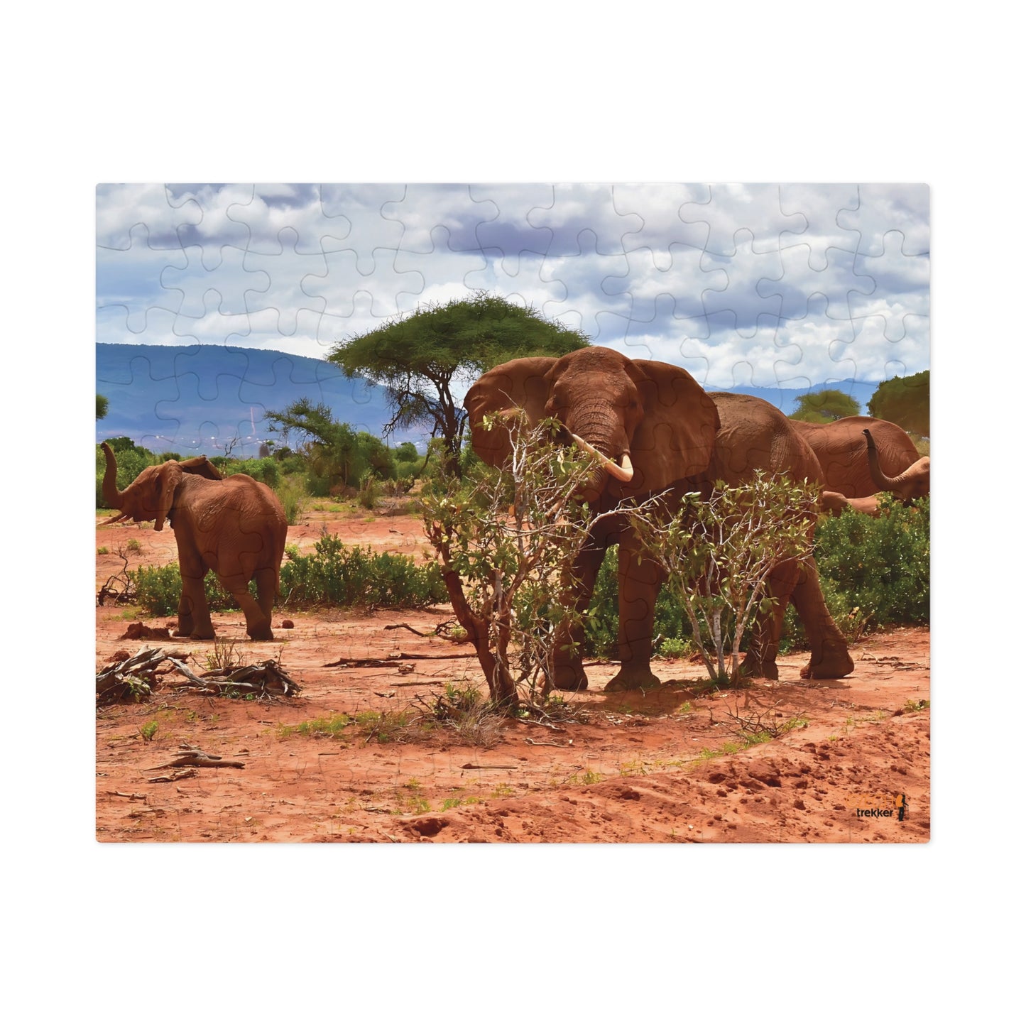 Jigsaw Puzzle & Tin: Original Photo, Tsavo East, Kenya (2023), Vibrant Glossy Puzzle, Nature Lover's Gift, 30 to 1,000 Pcs