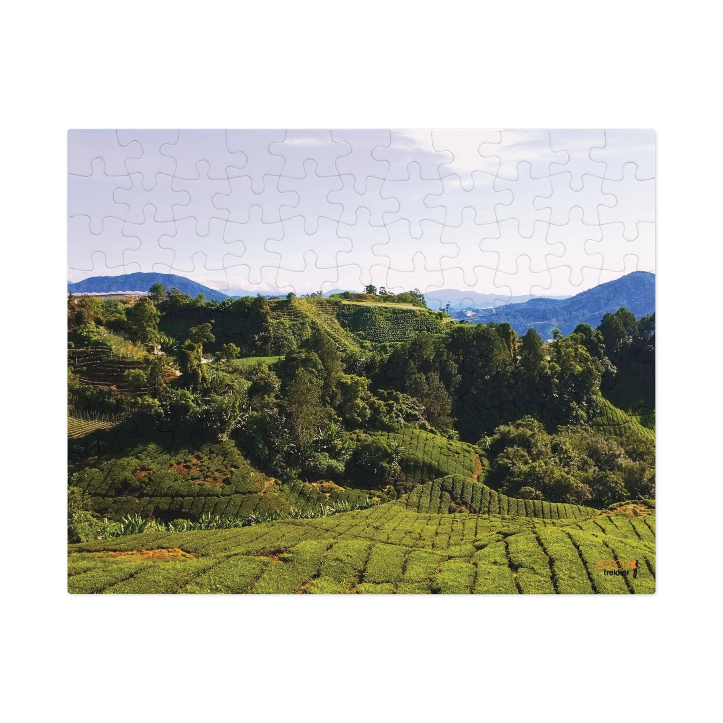 Jigsaw Puzzle & Tin: Original Photo, Cameron Highlands, Malaysia (2014), Vibrant Glossy Puzzle, Nature Lover's Gift, 30 to 500 Pcs