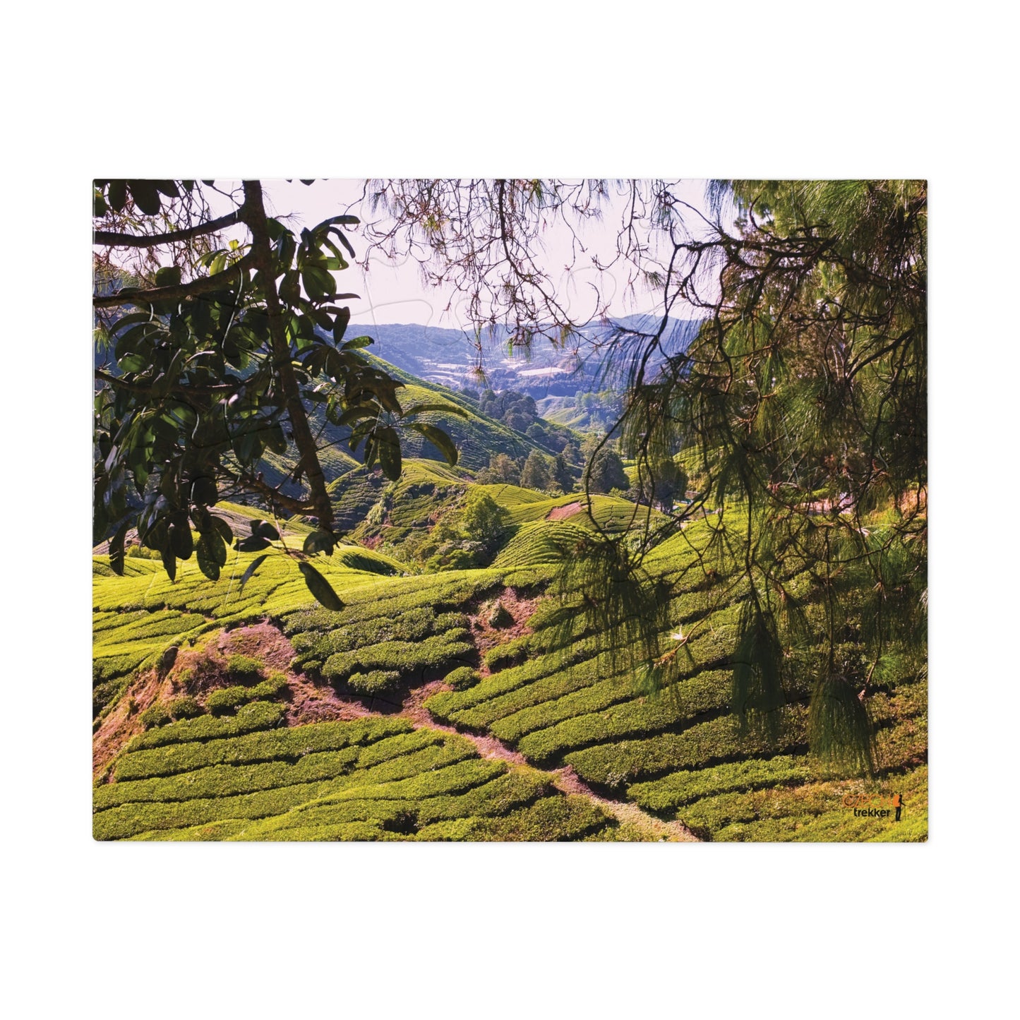 Jigsaw Puzzle & Tin: Original Photo, Cameron Highlands, Malaysia (2014), Vibrant Glossy Puzzle, Nature Lover's Gift, 30 to 500 Pcs