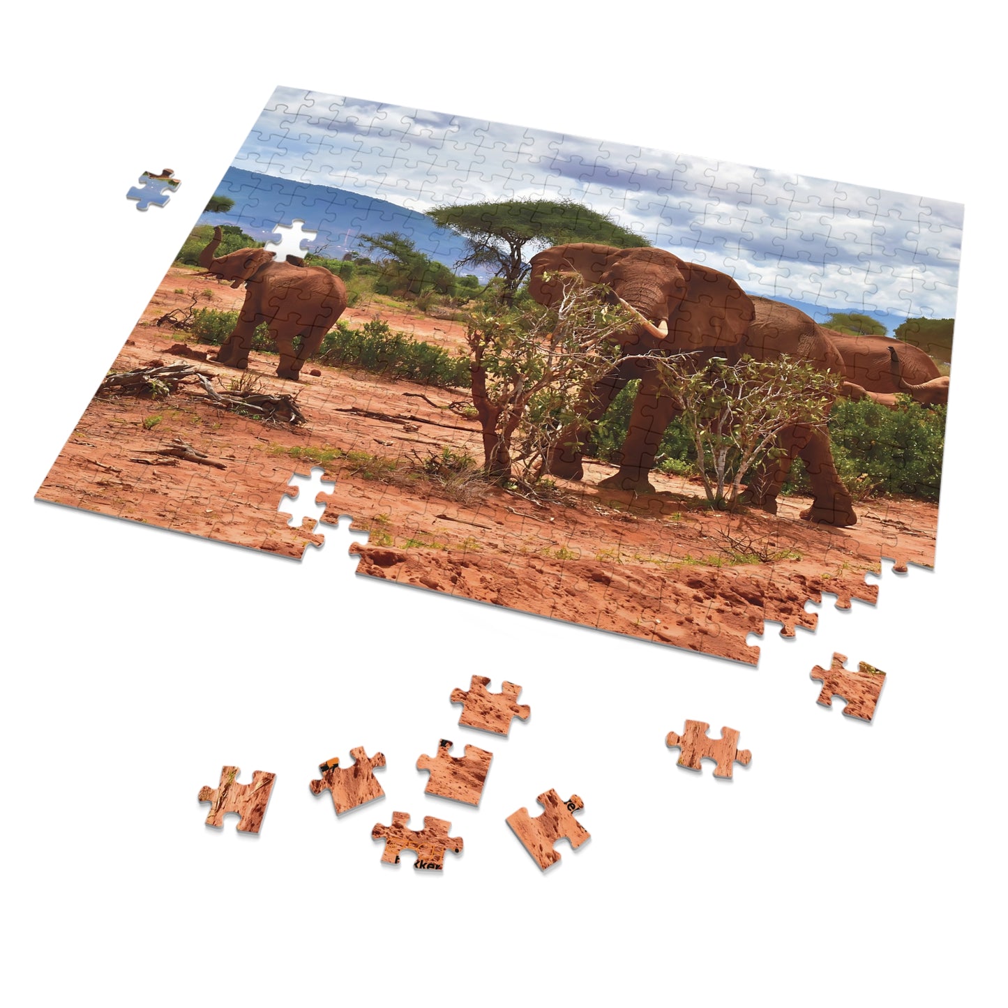 Jigsaw Puzzle & Tin: Original Photo, Tsavo East, Kenya (2023), Vibrant Glossy Puzzle, Nature Lover's Gift, 30 to 1,000 Pcs