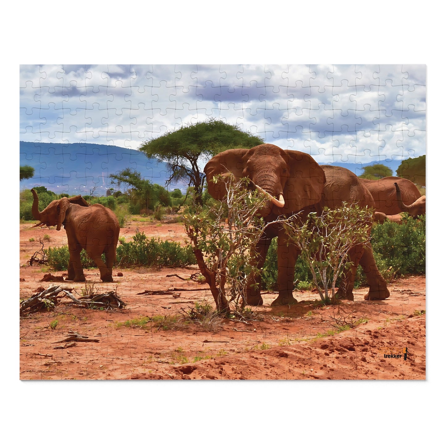 Jigsaw Puzzle & Tin: Original Photo, Tsavo East, Kenya (2023), Vibrant Glossy Puzzle, Nature Lover's Gift, 30 to 1,000 Pcs