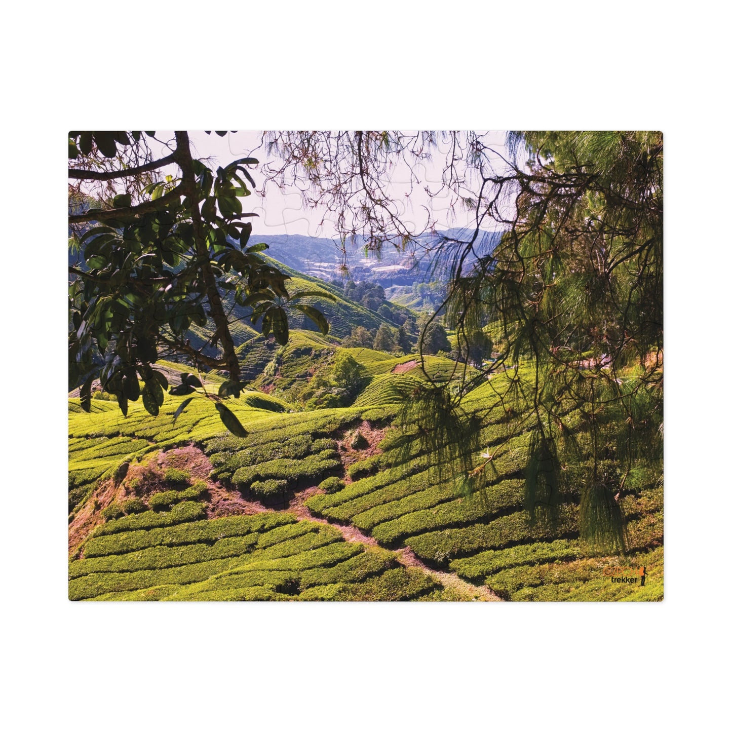 Jigsaw Puzzle & Tin: Original Photo, Cameron Highlands, Malaysia (2014), Vibrant Glossy Puzzle, Nature Lover's Gift, 30 to 500 Pcs