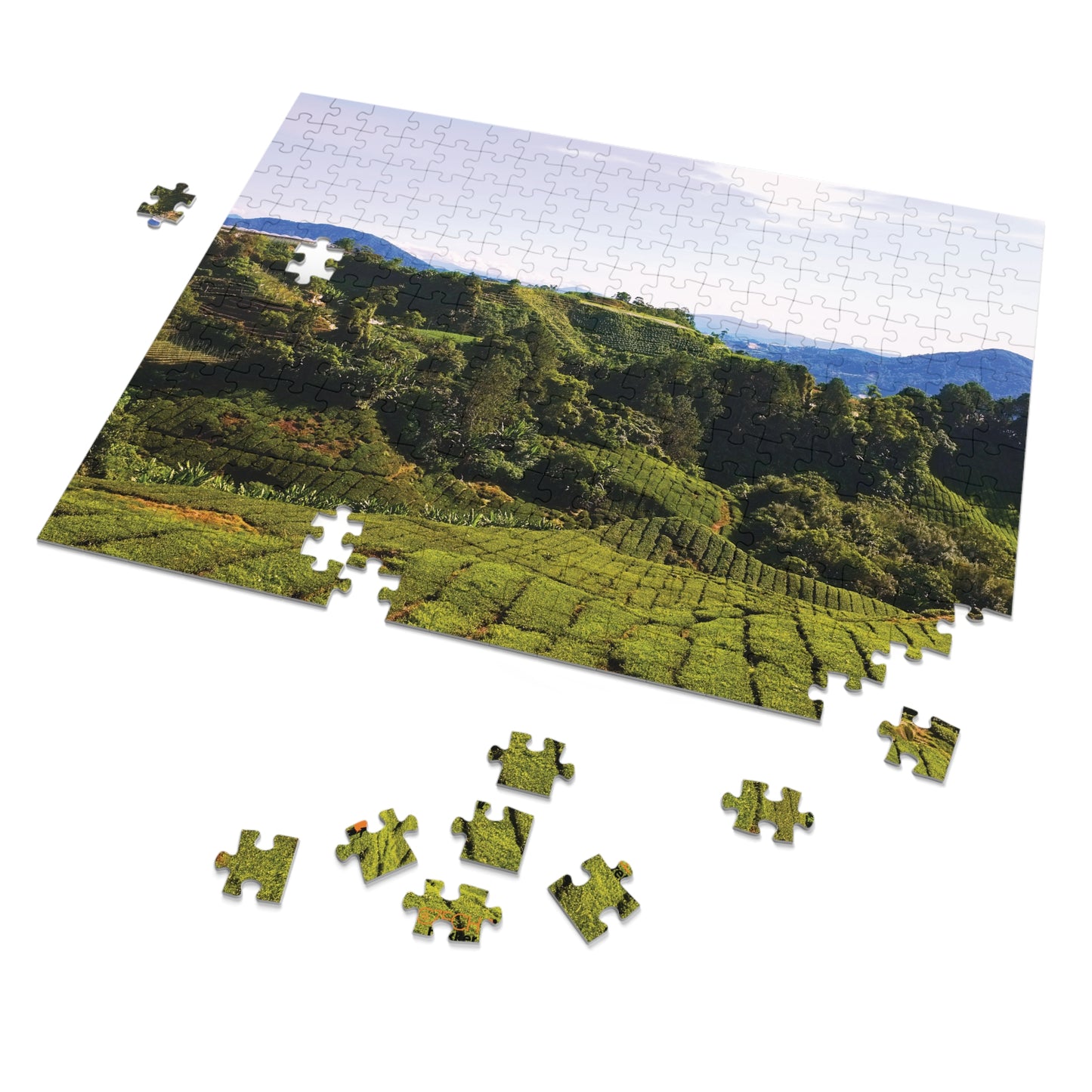 Jigsaw Puzzle & Tin: Original Photo, Cameron Highlands, Malaysia (2014), Vibrant Glossy Puzzle, Nature Lover's Gift, 30 to 500 Pcs