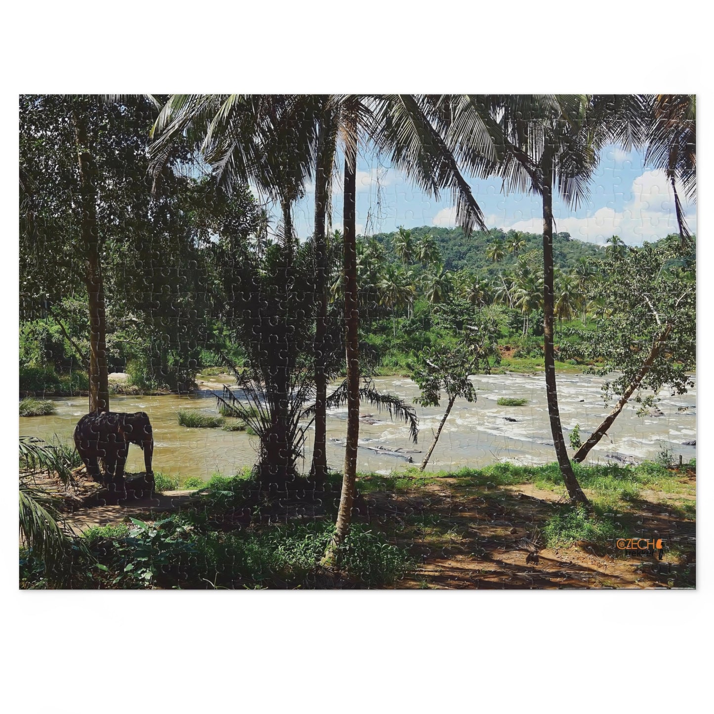 Jigsaw Puzzle & Tin: Original Photo, Pinnawala, Sri Lanka (2015), Vibrant Glossy Puzzle, Nature Lover's Gift, 30 to 500 Pcs