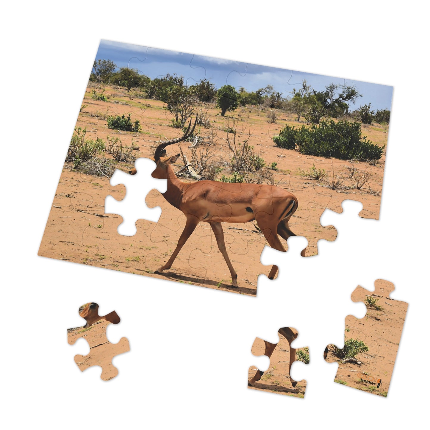 Jigsaw Puzzle & Tin: Original Photo, Tsavo East, Kenya (2023), Vibrant Glossy Puzzle, Nature Lover's Gift, 30 to 1,000 Pcs