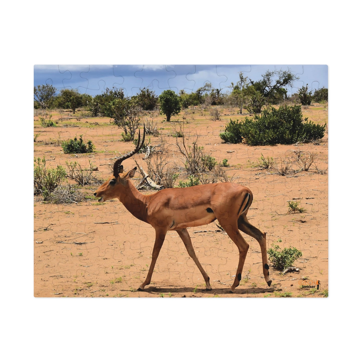 Jigsaw Puzzle & Tin: Original Photo, Tsavo East, Kenya (2023), Vibrant Glossy Puzzle, Nature Lover's Gift, 30 to 1,000 Pcs