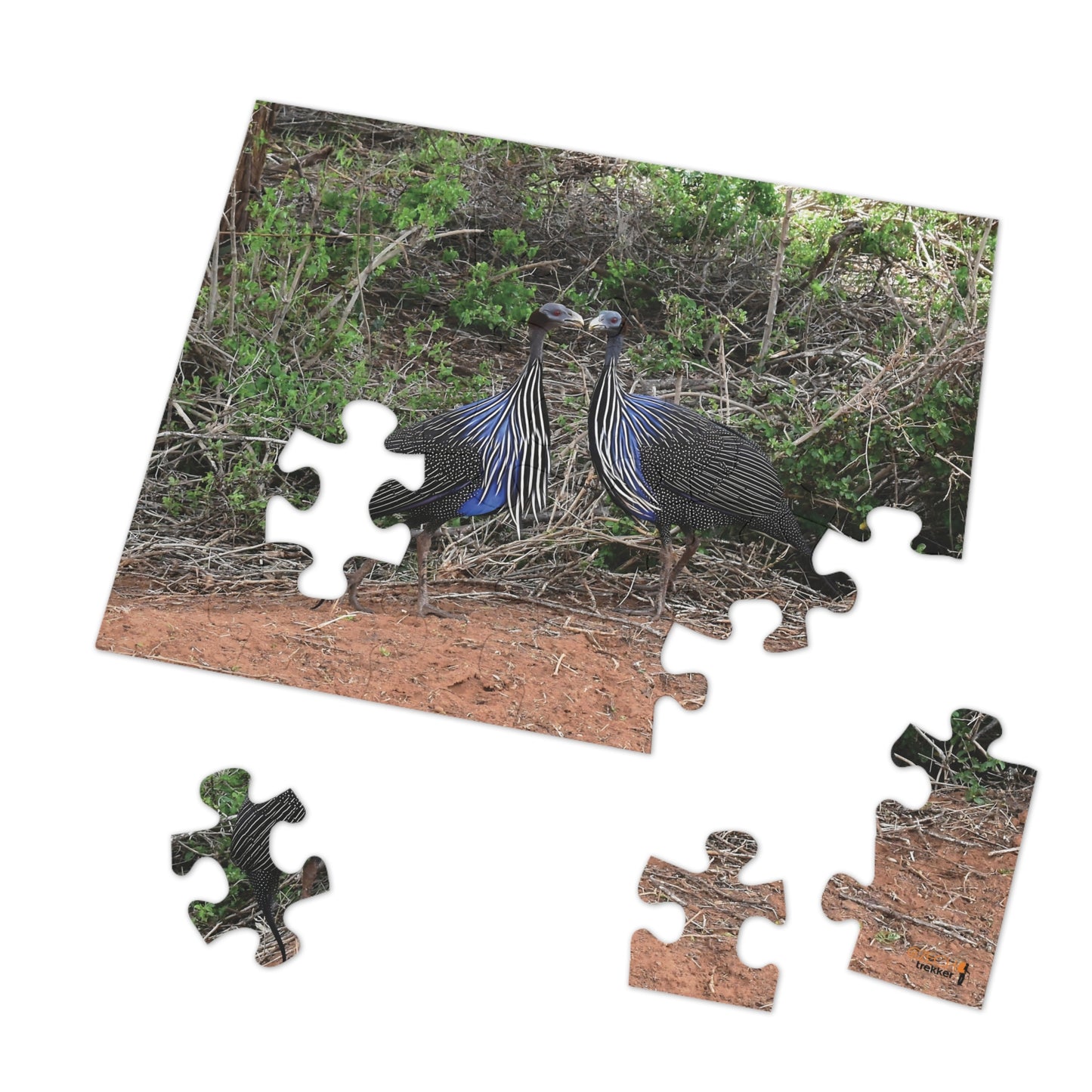 Jigsaw Puzzle & Tin: Original Photo, Tsavo East, Kenya (2023), Vibrant Glossy Puzzle, Nature Lover's Gift, 30 to 1,000 Pcs