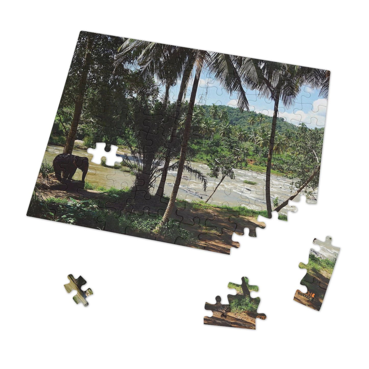 Jigsaw Puzzle & Tin: Original Photo, Pinnawala, Sri Lanka (2015), Vibrant Glossy Puzzle, Nature Lover's Gift, 30 to 500 Pcs