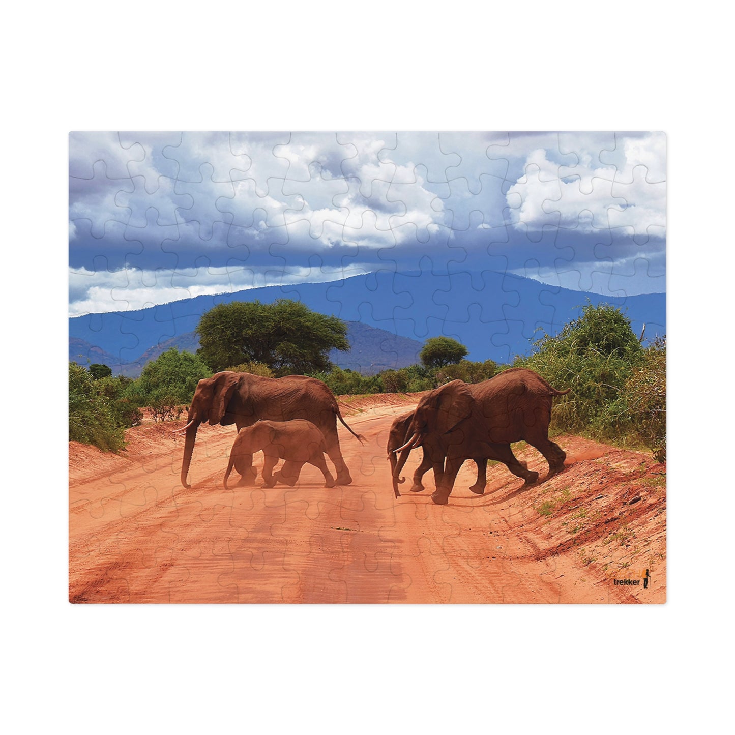 Jigsaw Puzzle & Tin: Original Photo, Tsavo East, Kenya (2023), Vibrant Glossy Puzzle, Nature Lover's Gift, 30 to 1,000 Pcs