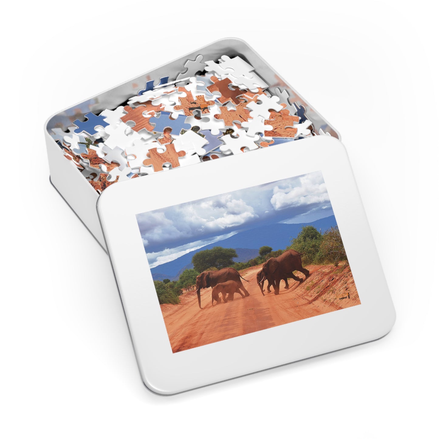 Jigsaw Puzzle & Tin: Original Photo, Tsavo East, Kenya (2023), Vibrant Glossy Puzzle, Nature Lover's Gift, 30 to 1,000 Pcs