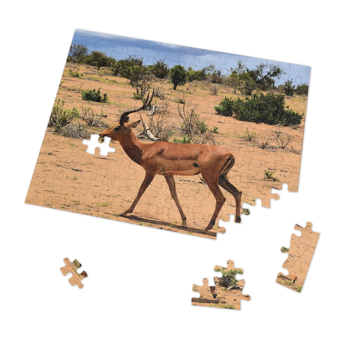 Jigsaw Puzzle & Tin: Original Photo, Tsavo East, Kenya (2023), Vibrant Glossy Puzzle, Nature Lover's Gift, 30 to 1,000 Pcs