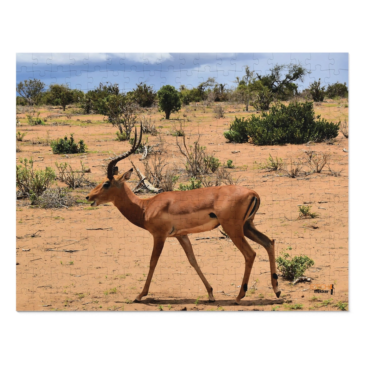 Jigsaw Puzzle & Tin: Original Photo, Tsavo East, Kenya (2023), Vibrant Glossy Puzzle, Nature Lover's Gift, 30 to 1,000 Pcs