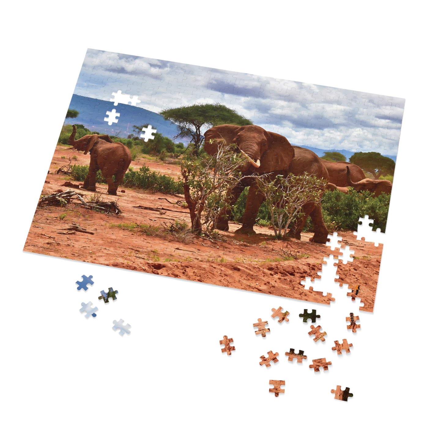 Jigsaw Puzzle & Tin: Original Photo, Tsavo East, Kenya (2023), Vibrant Glossy Puzzle, Nature Lover's Gift, 30 to 1,000 Pcs