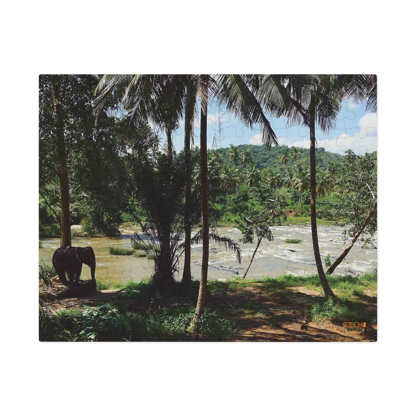 Jigsaw Puzzle & Tin: Original Photo, Pinnawala, Sri Lanka (2015), Vibrant Glossy Puzzle, Nature Lover's Gift, 30 to 500 Pcs