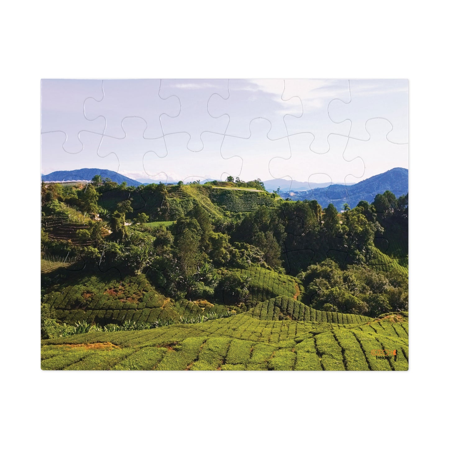 Jigsaw Puzzle & Tin: Original Photo, Cameron Highlands, Malaysia (2014), Vibrant Glossy Puzzle, Nature Lover's Gift, 30 to 500 Pcs