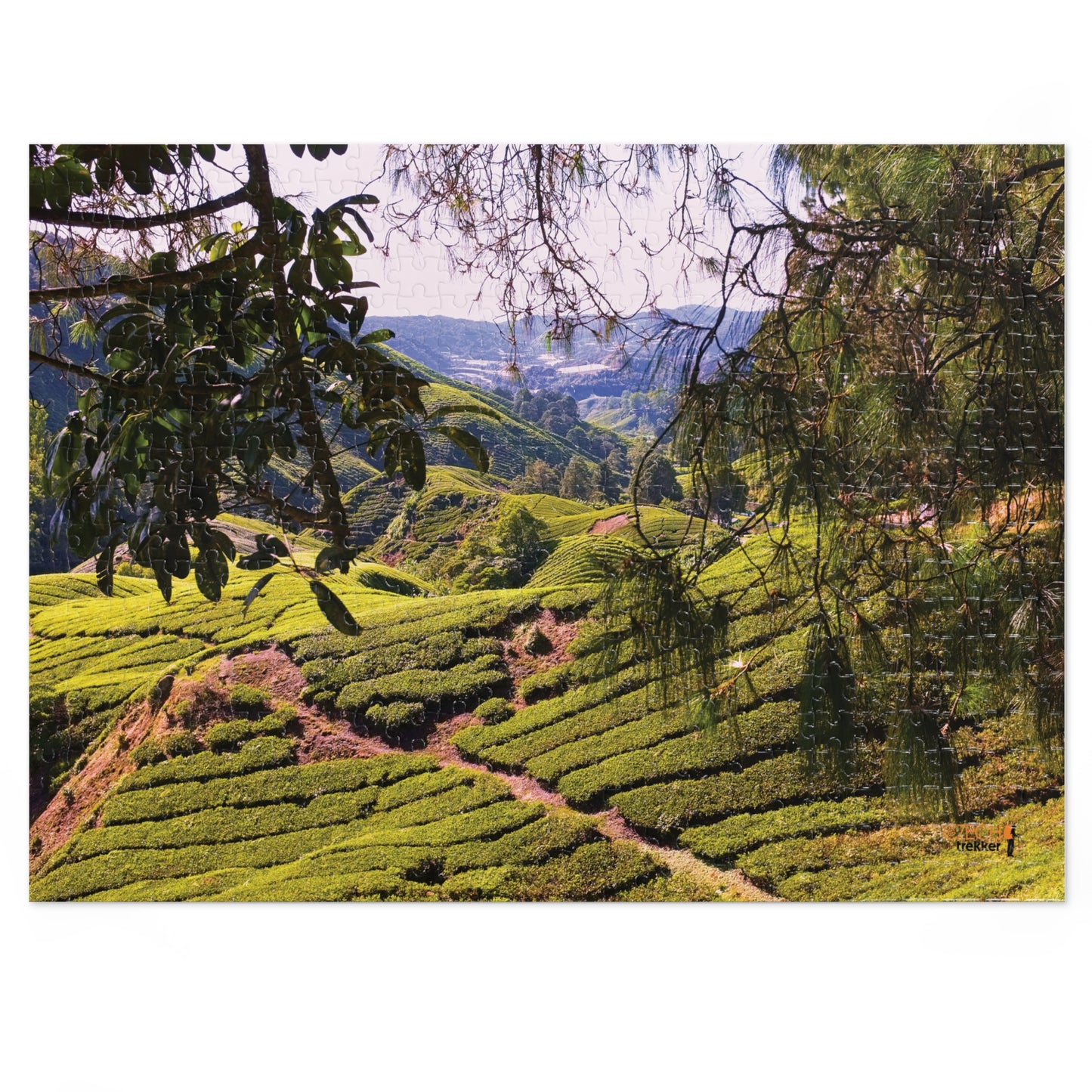 Jigsaw Puzzle & Tin: Original Photo, Cameron Highlands, Malaysia (2014), Vibrant Glossy Puzzle, Nature Lover's Gift, 30 to 500 Pcs