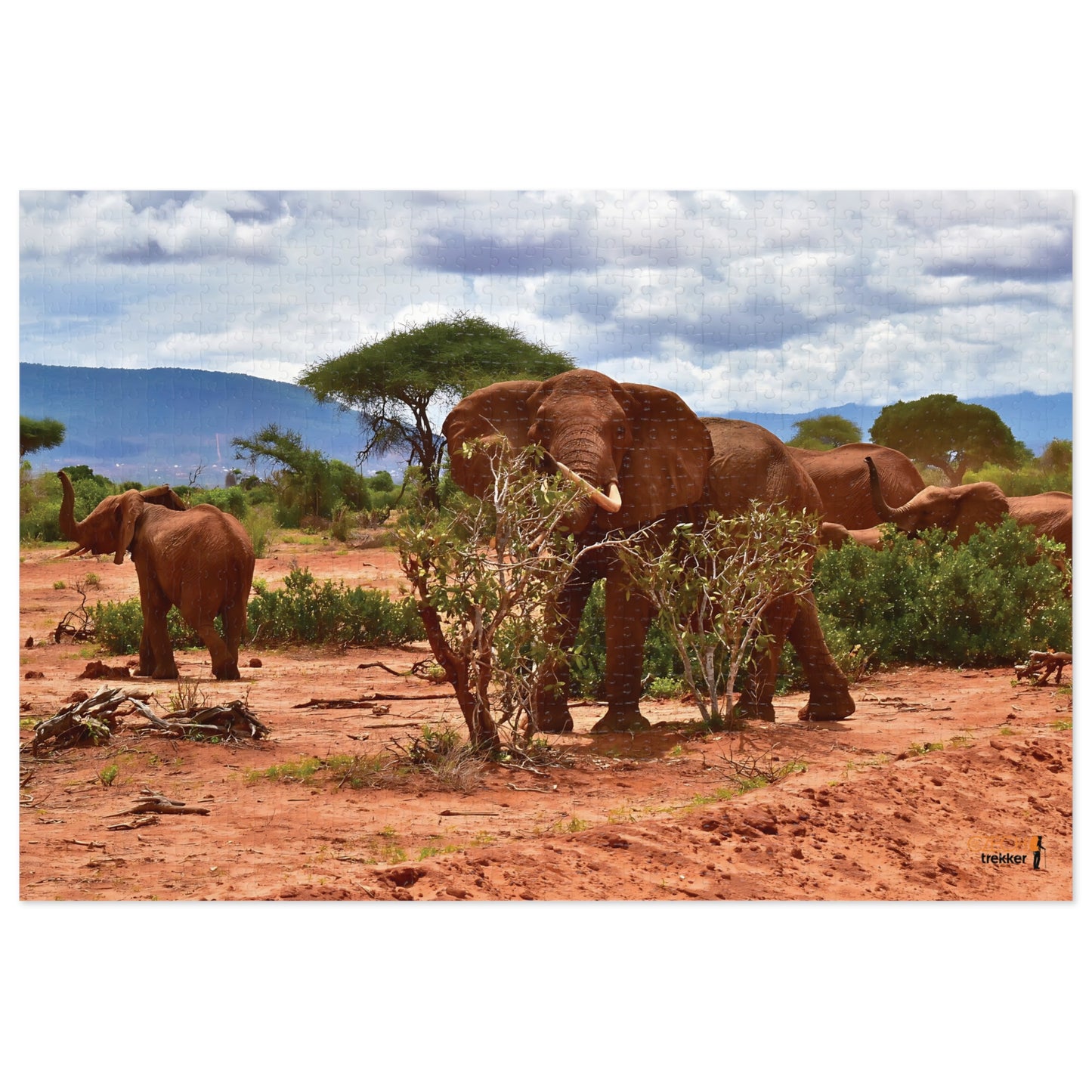 Jigsaw Puzzle & Tin: Original Photo, Tsavo East, Kenya (2023), Vibrant Glossy Puzzle, Nature Lover's Gift, 30 to 1,000 Pcs