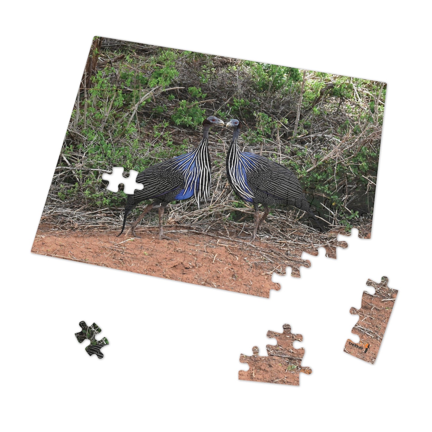 Jigsaw Puzzle & Tin: Original Photo, Tsavo East, Kenya (2023), Vibrant Glossy Puzzle, Nature Lover's Gift, 30 to 1,000 Pcs