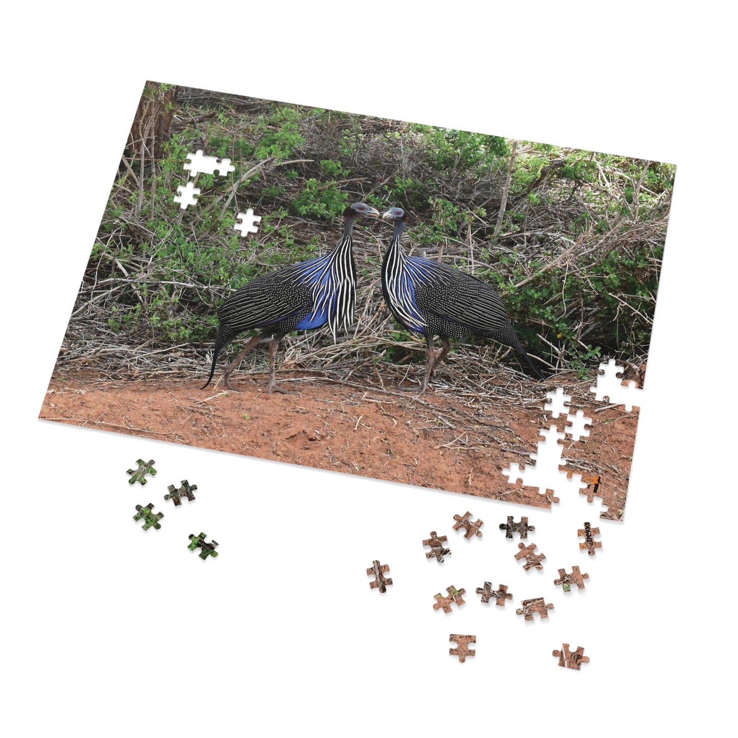 Jigsaw Puzzle & Tin: Original Photo, Tsavo East, Kenya (2023), Vibrant Glossy Puzzle, Nature Lover's Gift, 30 to 1,000 Pcs