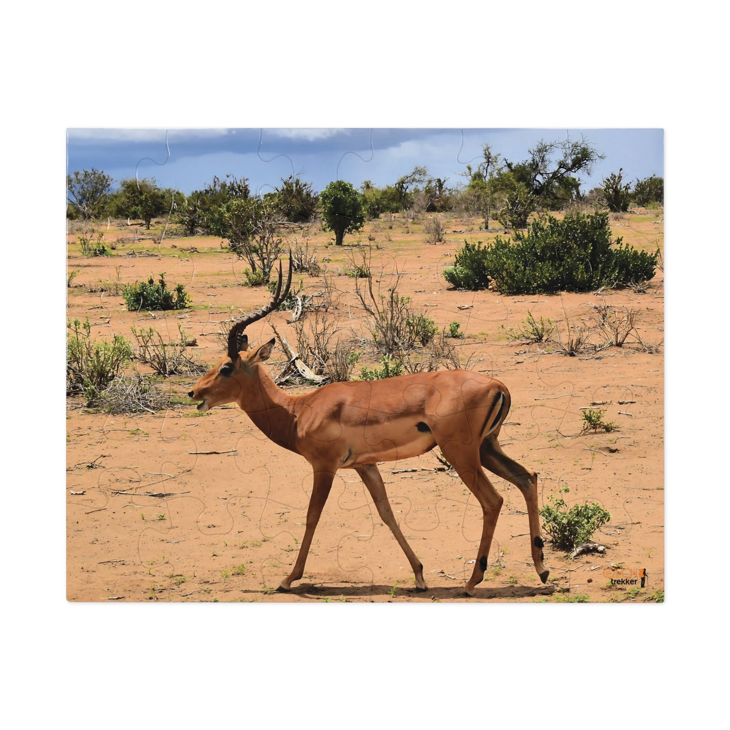 Jigsaw Puzzle & Tin: Original Photo, Tsavo East, Kenya (2023), Vibrant Glossy Puzzle, Nature Lover's Gift, 30 to 1,000 Pcs