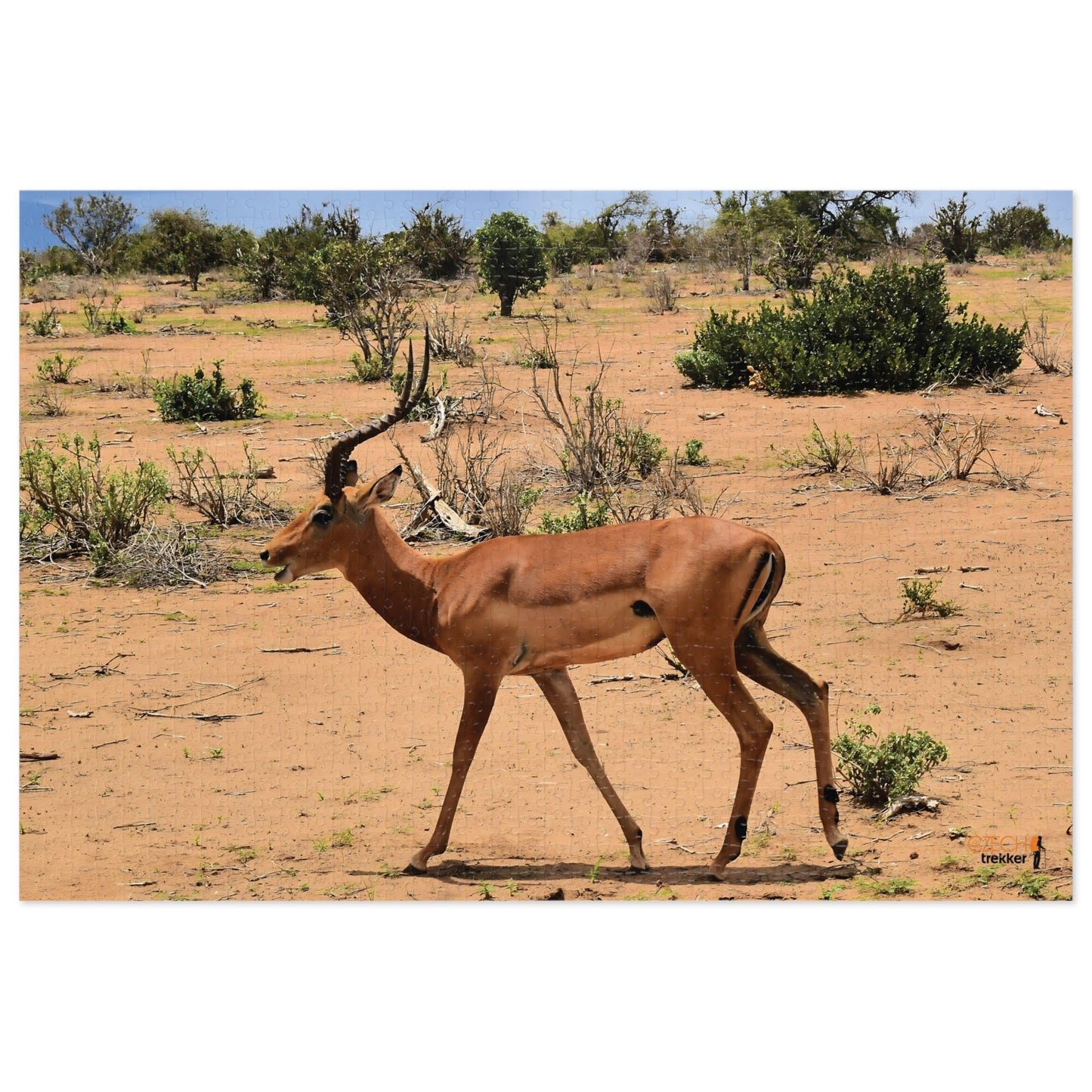 Jigsaw Puzzle & Tin: Original Photo, Tsavo East, Kenya (2023), Vibrant Glossy Puzzle, Nature Lover's Gift, 30 to 1,000 Pcs