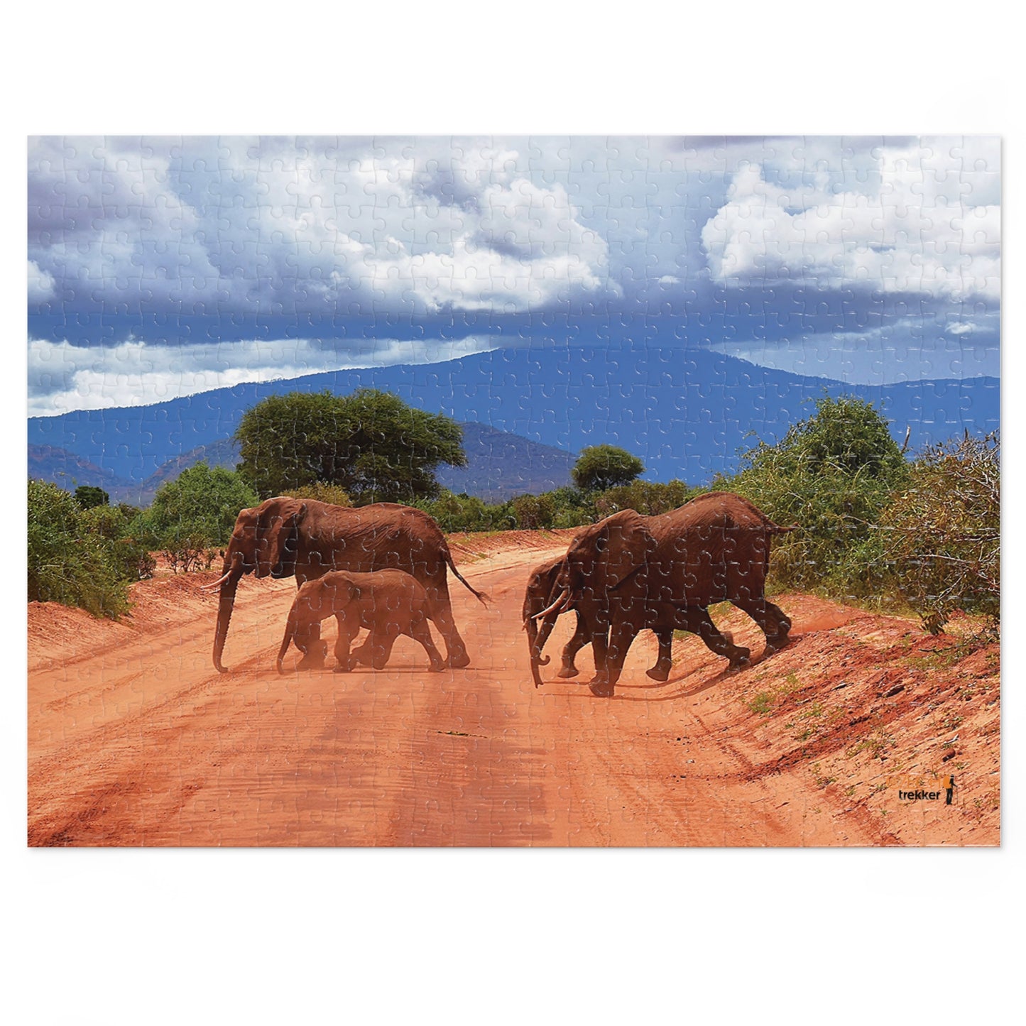 Jigsaw Puzzle & Tin: Original Photo, Tsavo East, Kenya (2023), Vibrant Glossy Puzzle, Nature Lover's Gift, 30 to 1,000 Pcs