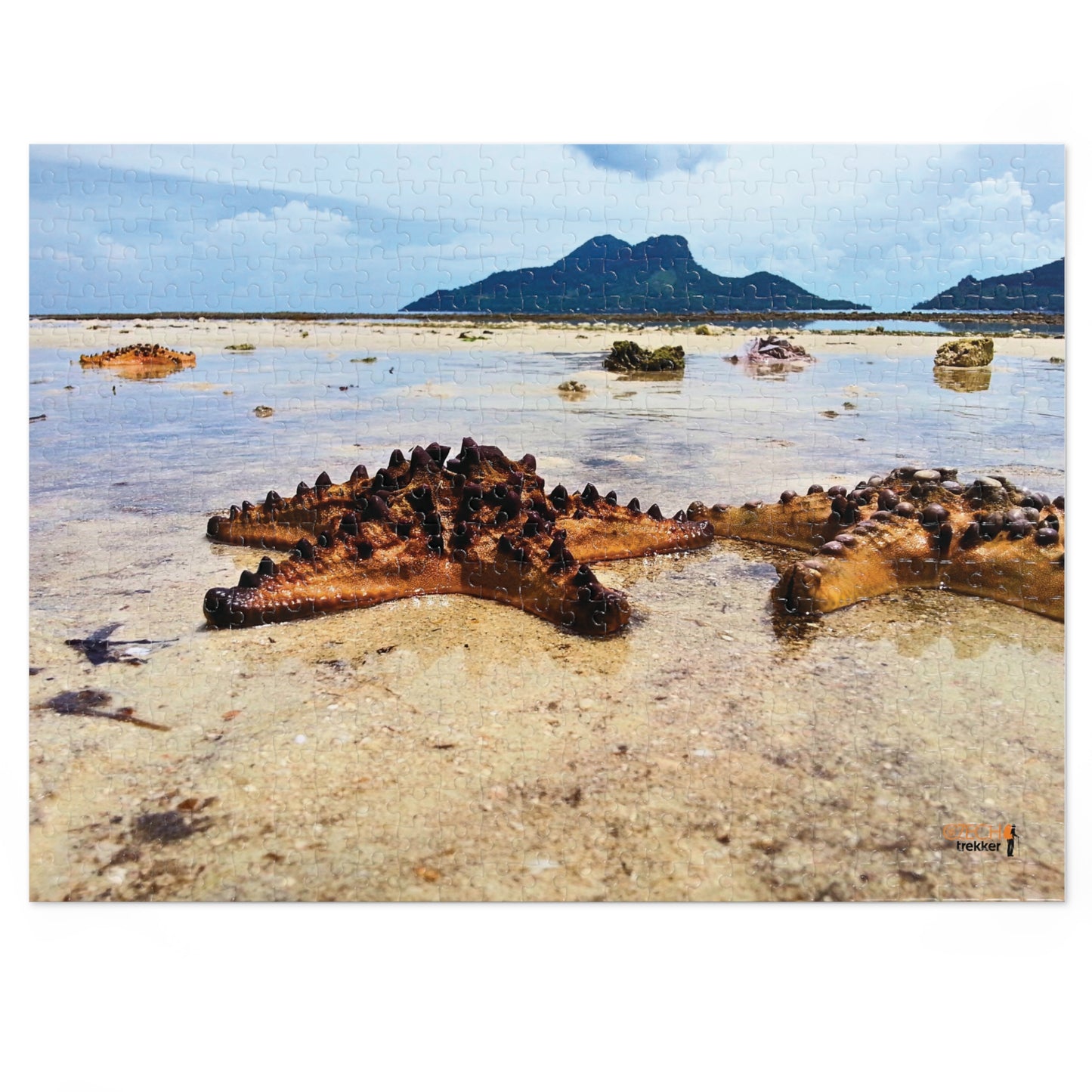 Jigsaw Puzzle & Tin: Original Photo, Pulau Maiga, Sabah, Malaysia (2013), Vibrant Glossy Puzzle, Nature Lover's Gift, 30 to 500 Pcs