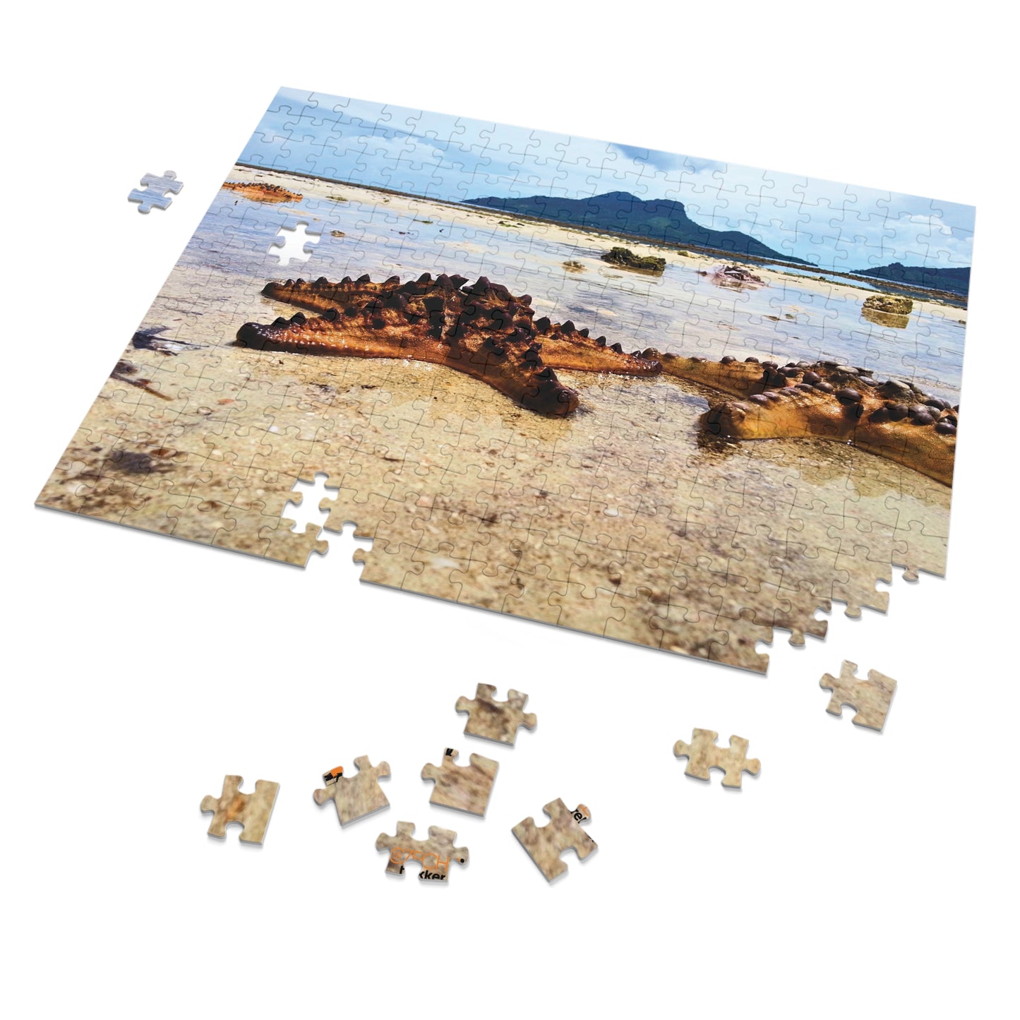 Jigsaw Puzzle & Tin: Original Photo, Pulau Maiga, Sabah, Malaysia (2013), Vibrant Glossy Puzzle, Nature Lover's Gift, 30 to 500 Pcs