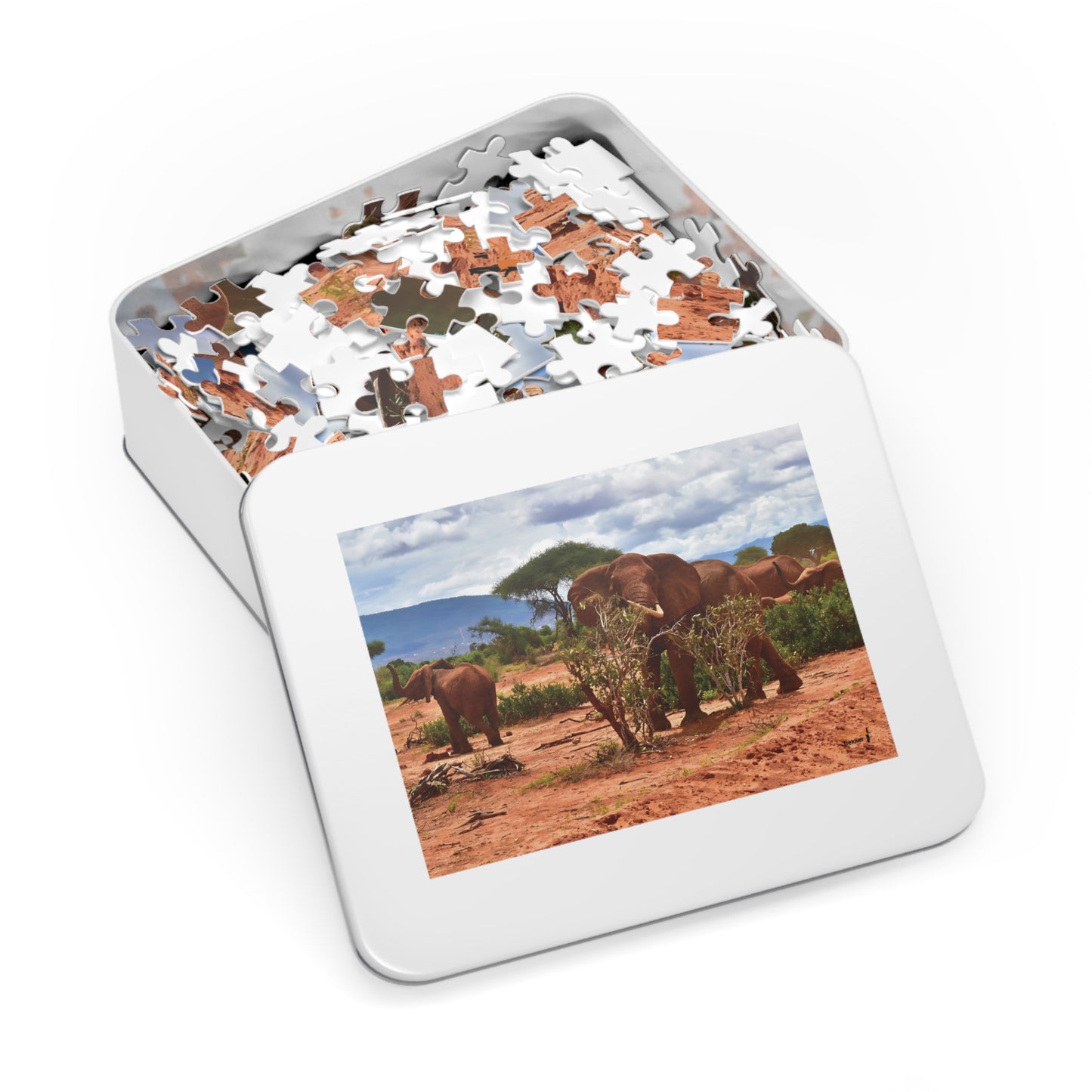 Jigsaw Puzzle & Tin: Original Photo, Tsavo East, Kenya (2023), Vibrant Glossy Puzzle, Nature Lover's Gift, 30 to 1,000 Pcs