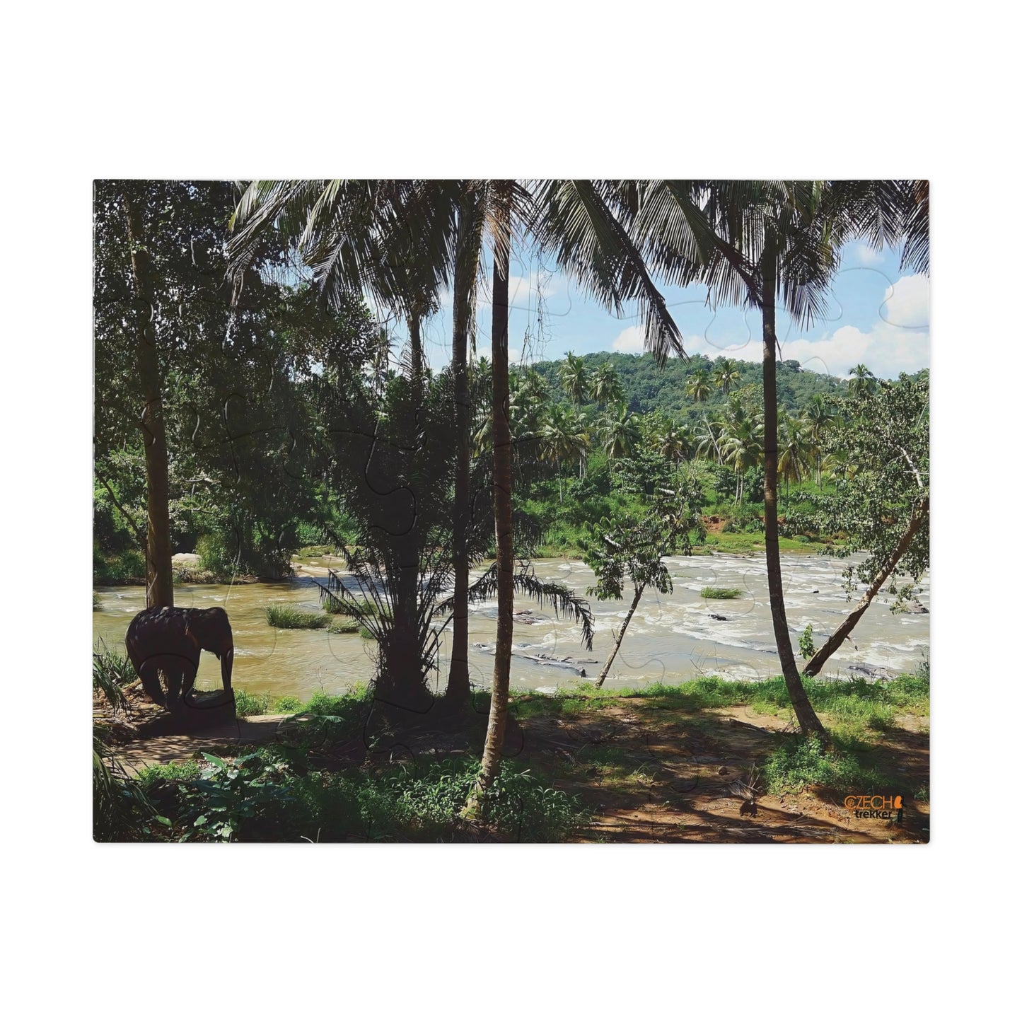 Jigsaw Puzzle & Tin: Original Photo, Pinnawala, Sri Lanka (2015), Vibrant Glossy Puzzle, Nature Lover's Gift, 30 to 500 Pcs